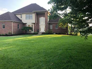 Cleaning Up Overgrown Landscaping: After