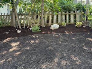 Adding a Landscaped Bed and Cleaning Up Fence Line: After