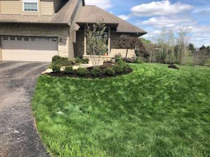 Cleaning Up Shrubs and a Landscaped Bed: After