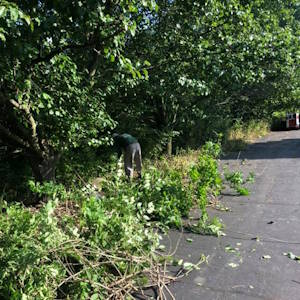 Cleanup for Overgrown Trees and Installing a Landscaped Bed: Before