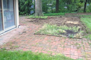 Arlington: Before