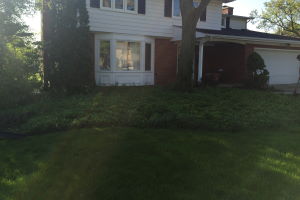 Ascott: After