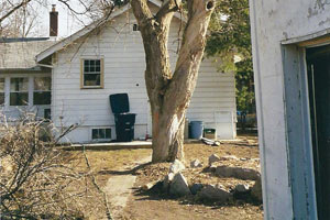 Backyard Project: Before