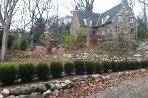 Evergreen: Before