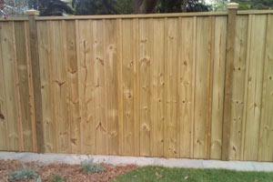 Fence Project: After