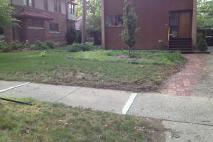 Granger: Before