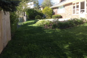 Mershon: Before
