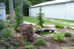 Pond Project: After