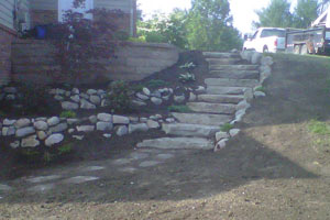 Steps Project: After
