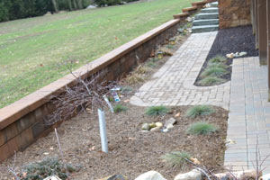 Wall Walk Project: After
